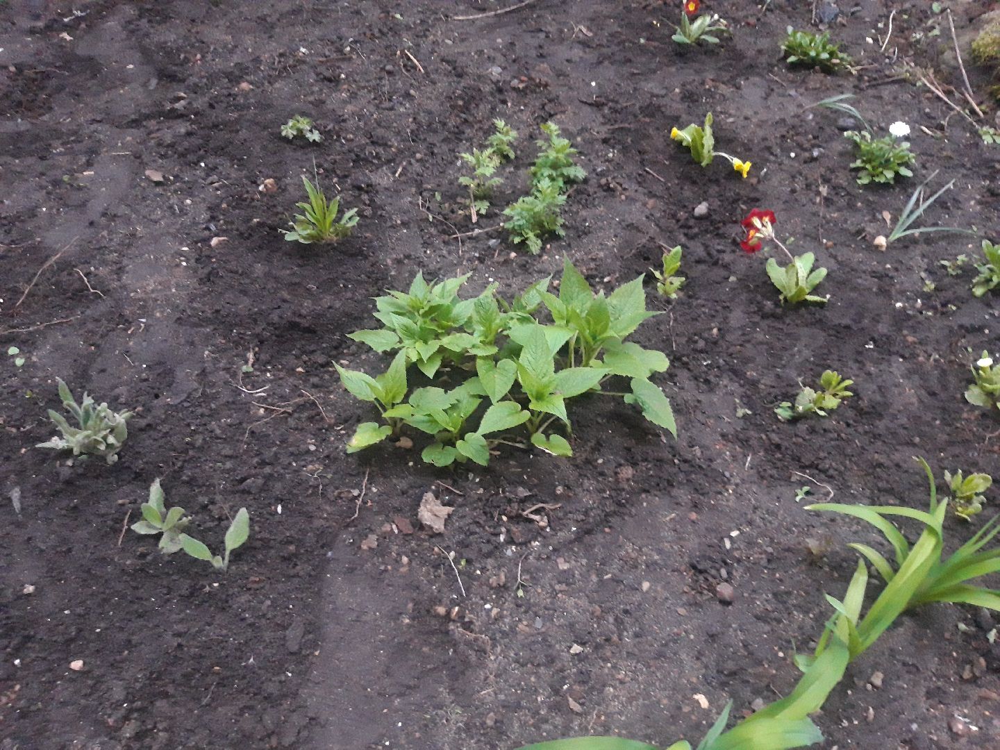 выходи во двор, доброе дело,