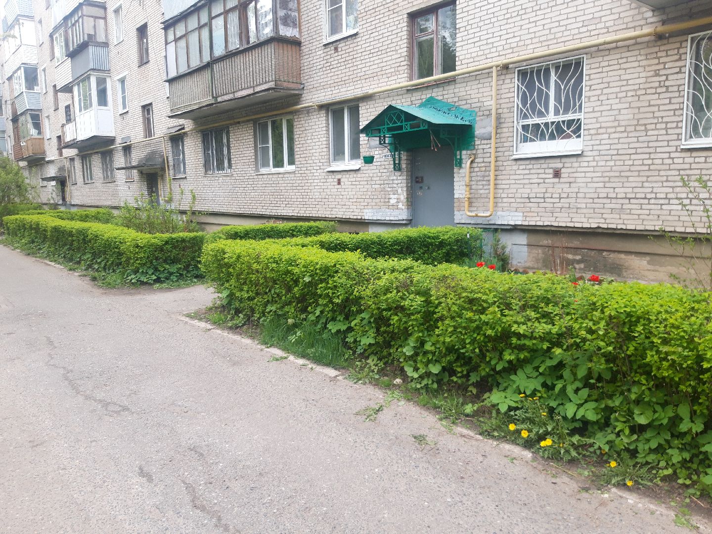 выходи во двор, доброе дело,