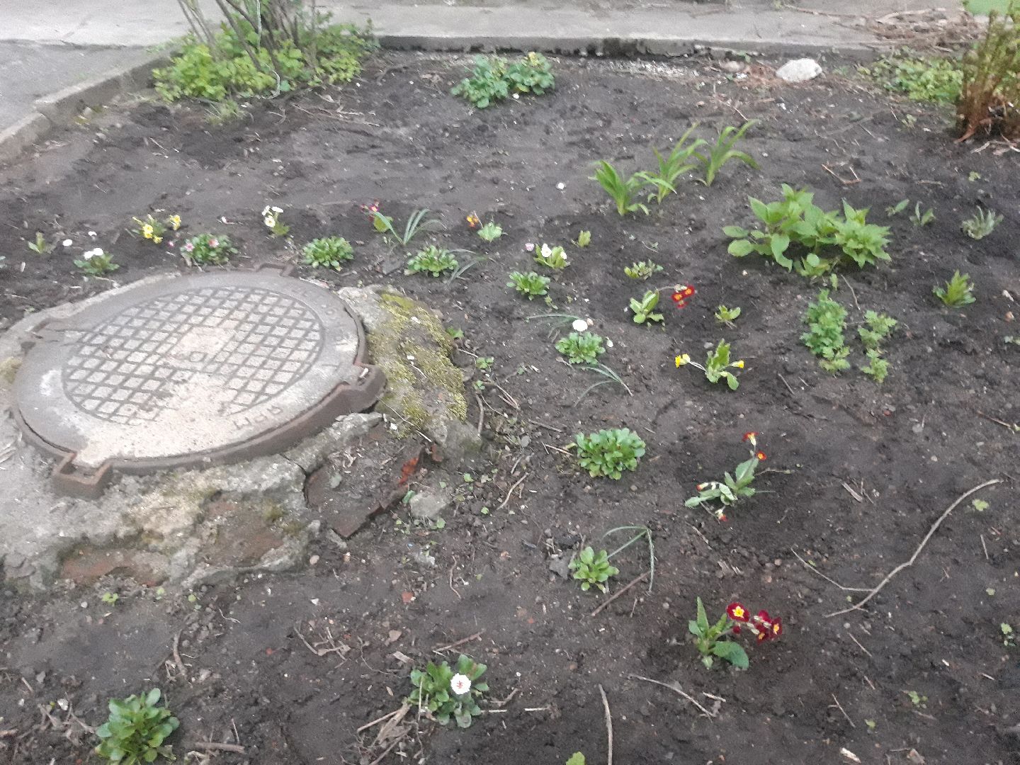 выходи во двор, доброе дело,