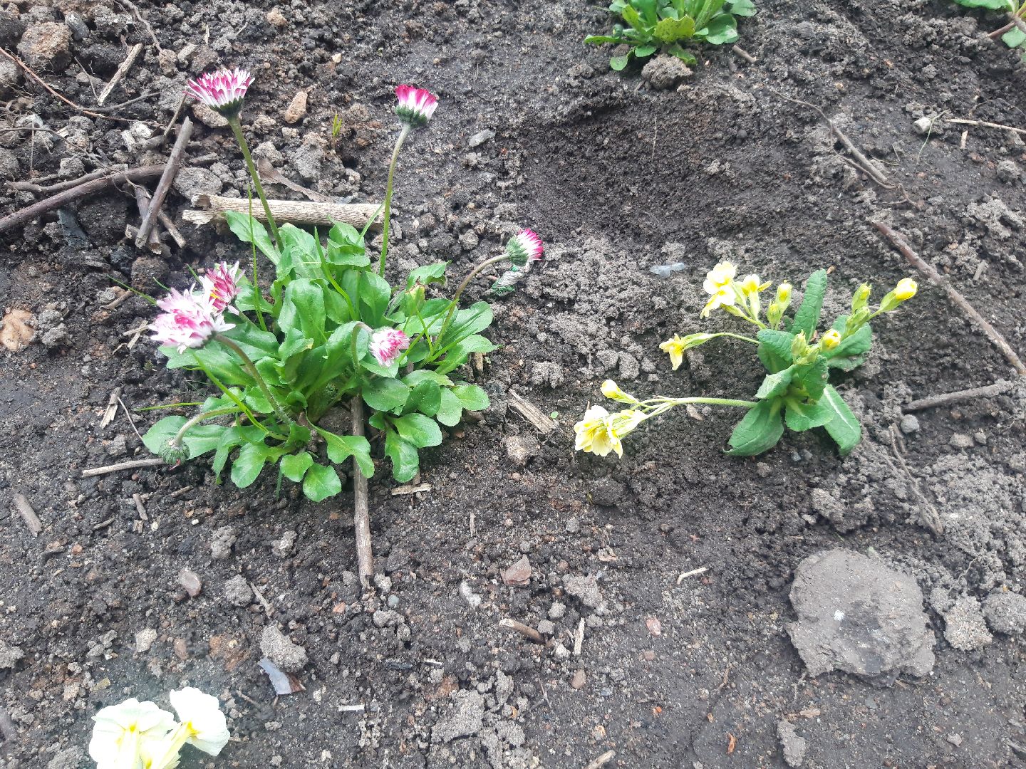 выходи во двор, доброе дело,