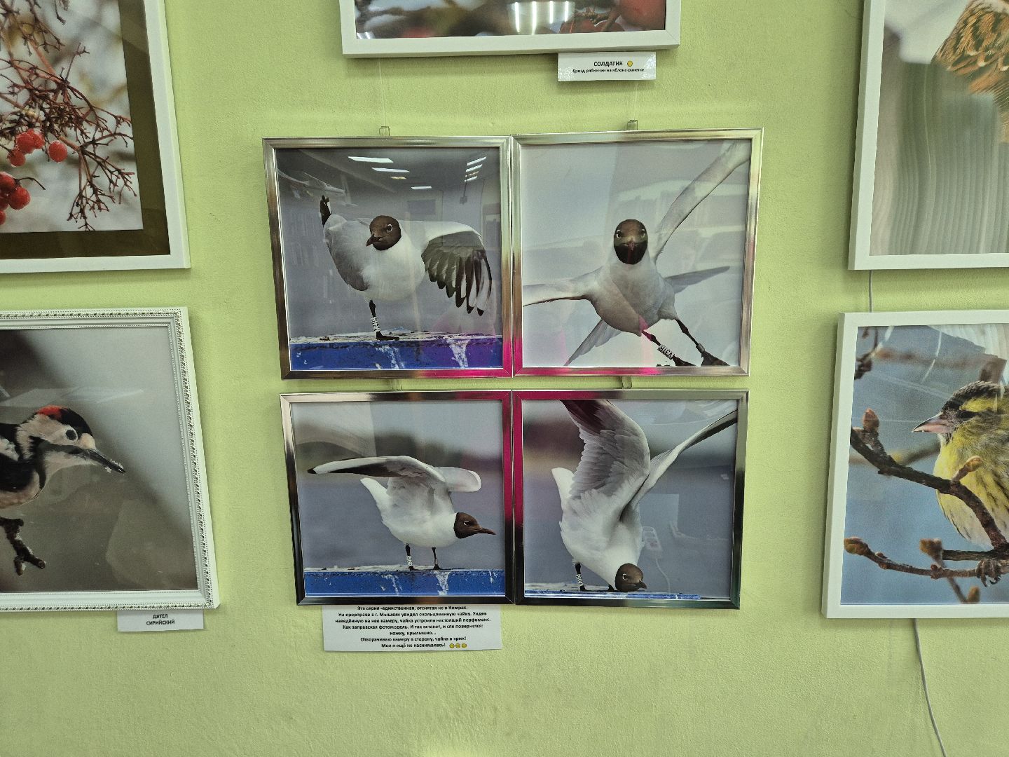 дубна, фотовыставка, всевбиблиотеку,