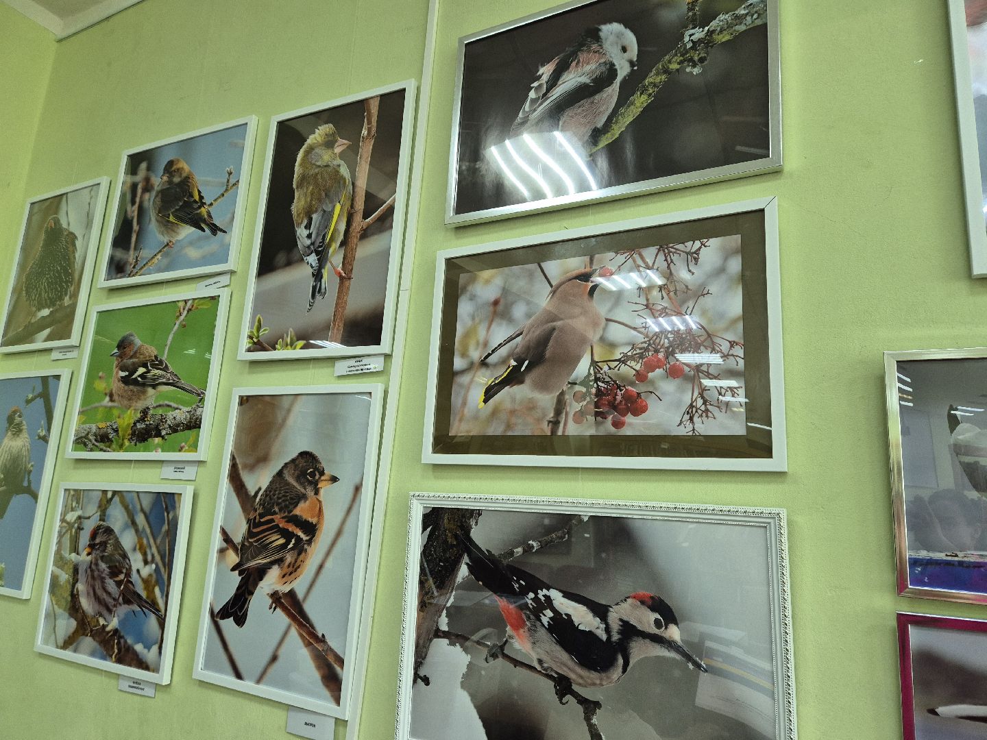 дубна, фотовыставка, всевбиблиотеку,