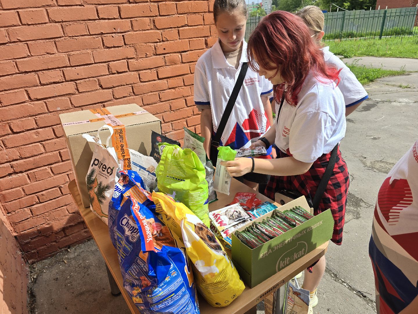 Коломна , помощь животным,волонтеры подмосковья,