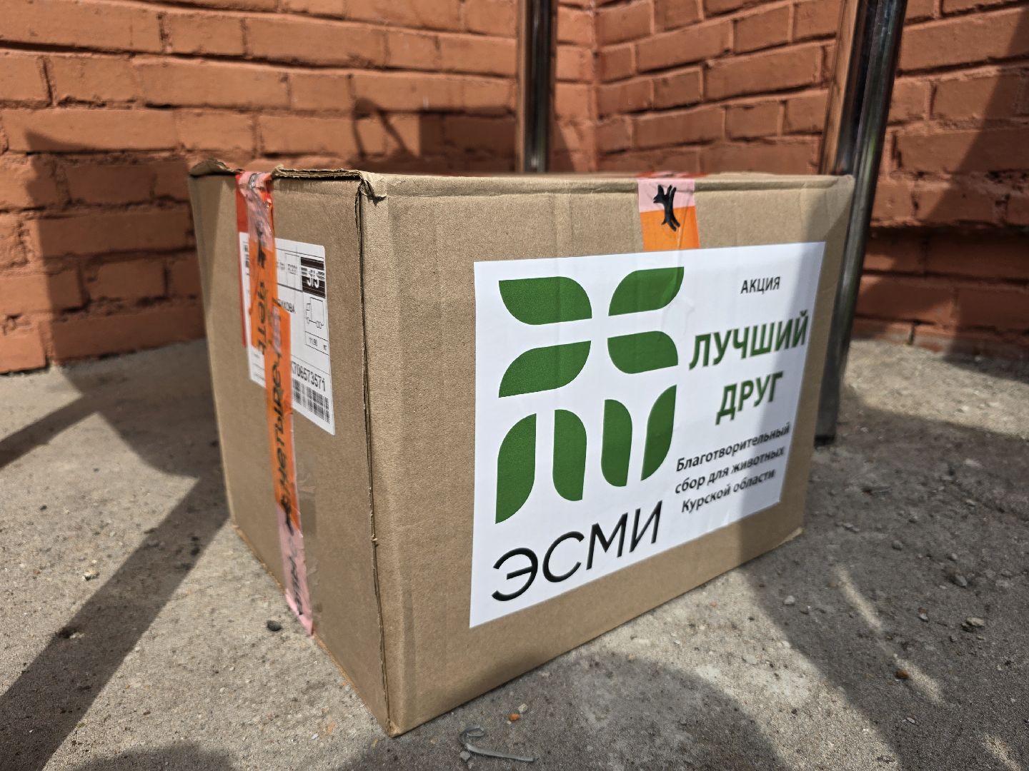 Коломна , помощь животным,волонтеры подмосковья,