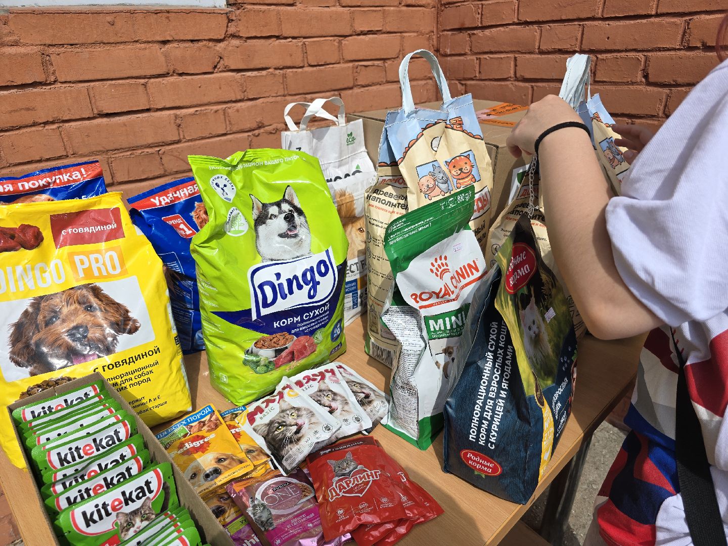 Коломна , помощь животным,волонтеры подмосковья,