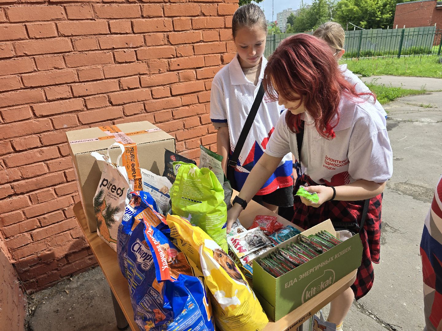 Коломна , помощь животным,волонтеры подмосковья,