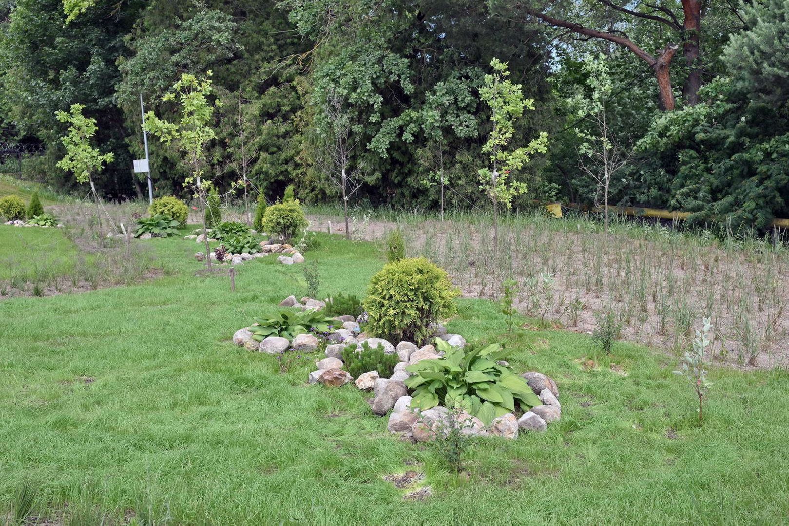 власиха, ракетная столица, кпп-2 власиха, благоустройство территории, реконструкция территории,