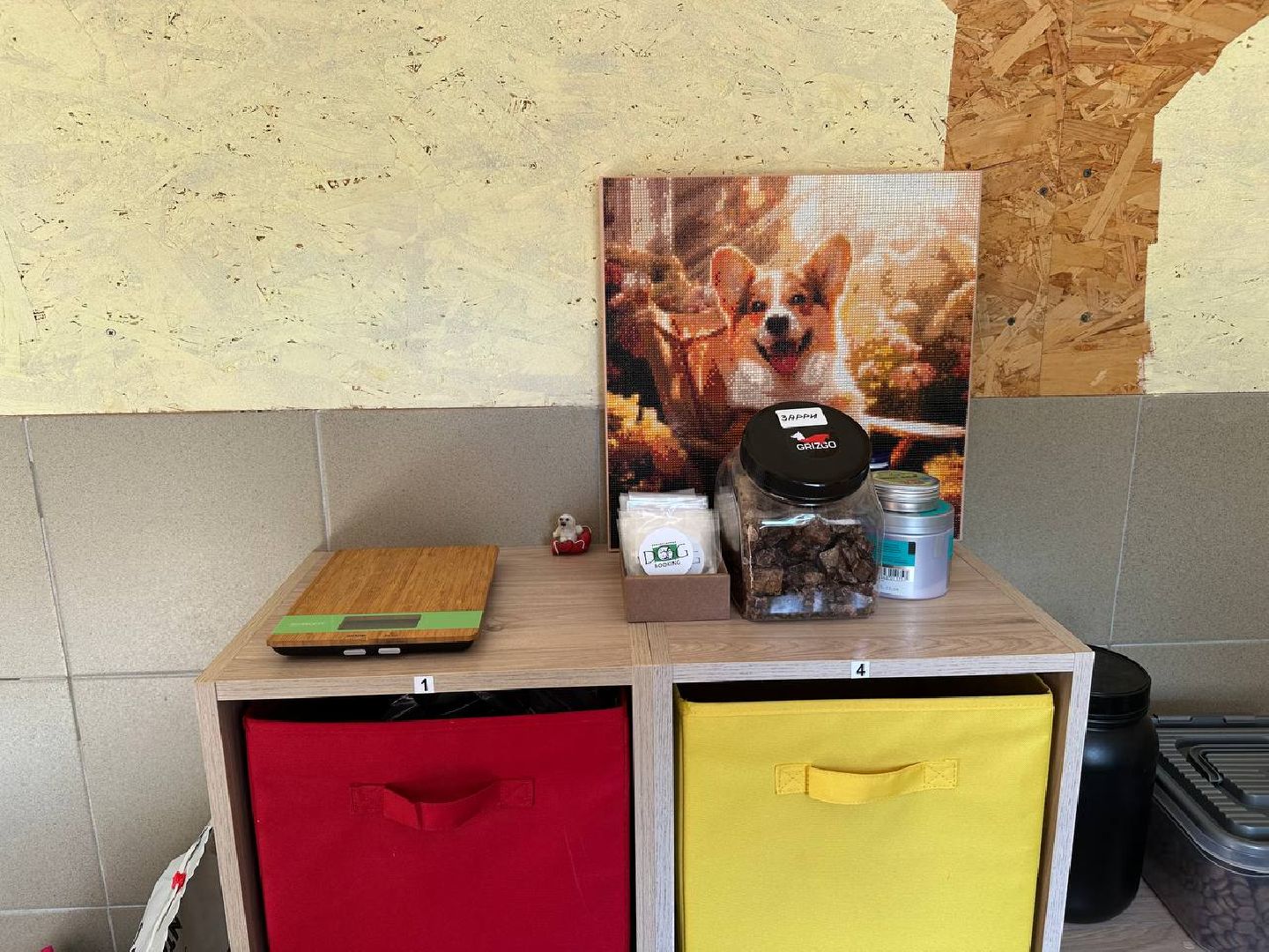 уход за животными, домодедово,