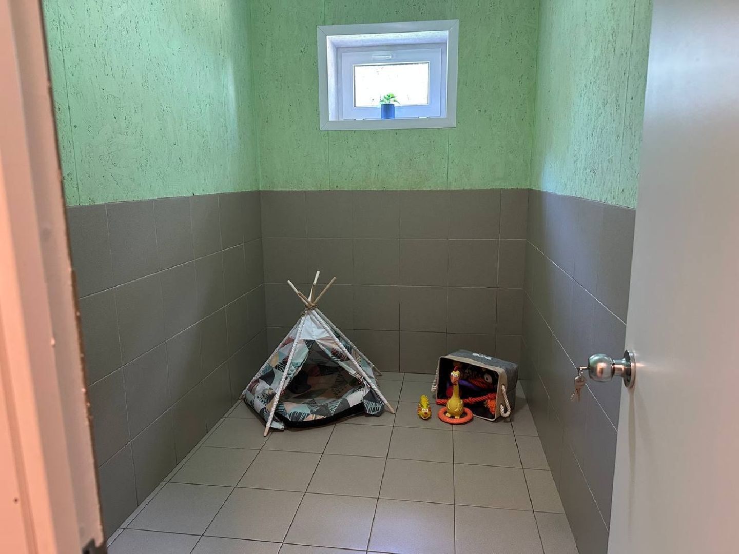 уход за животными, домодедово,