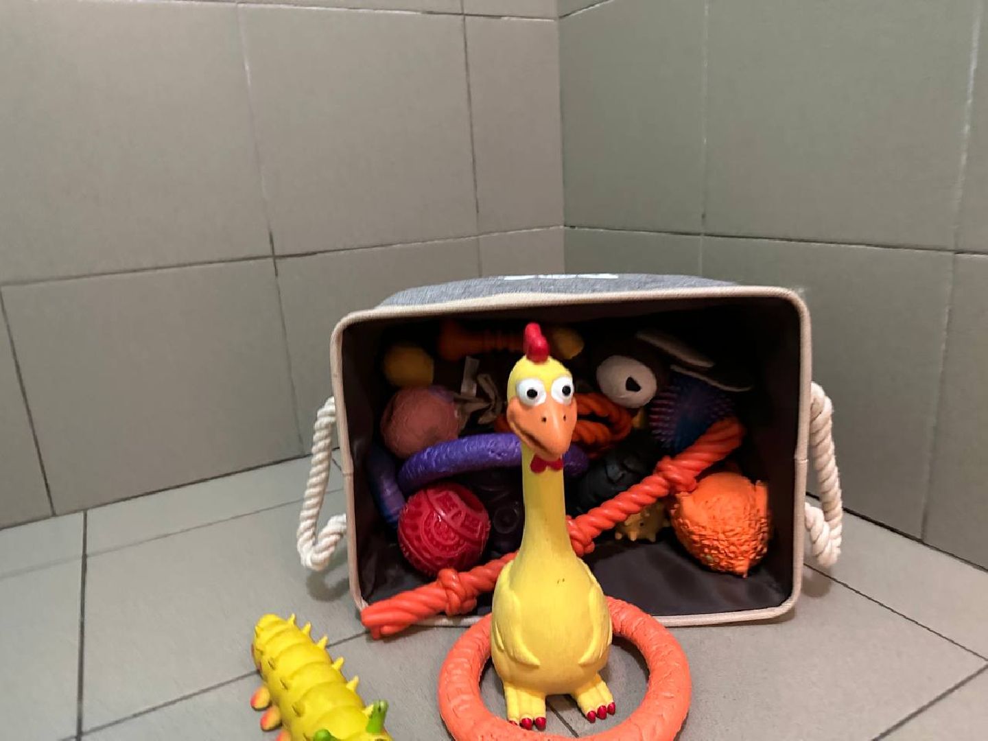 уход за животными, домодедово,