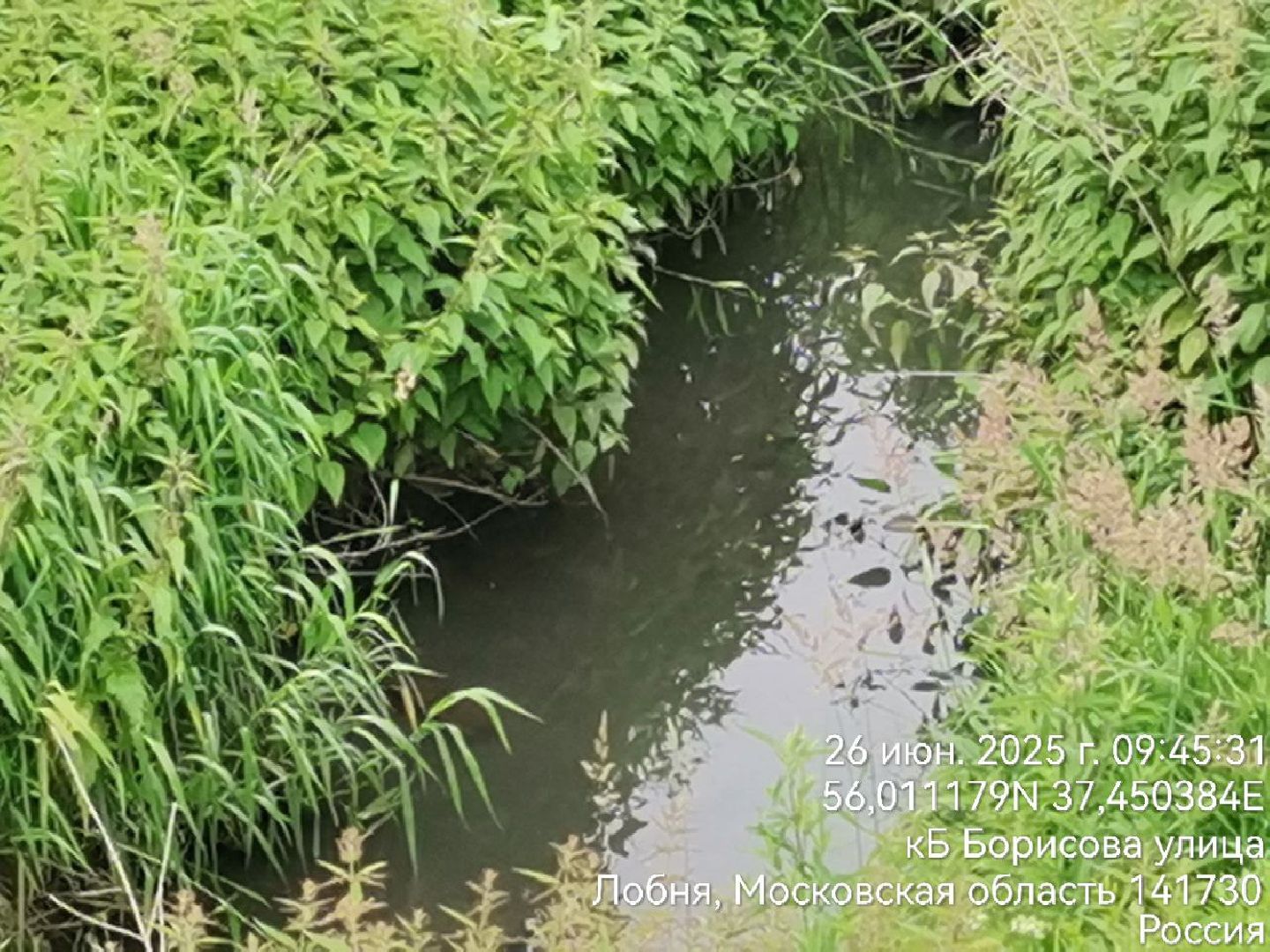 река, экология, лобня,