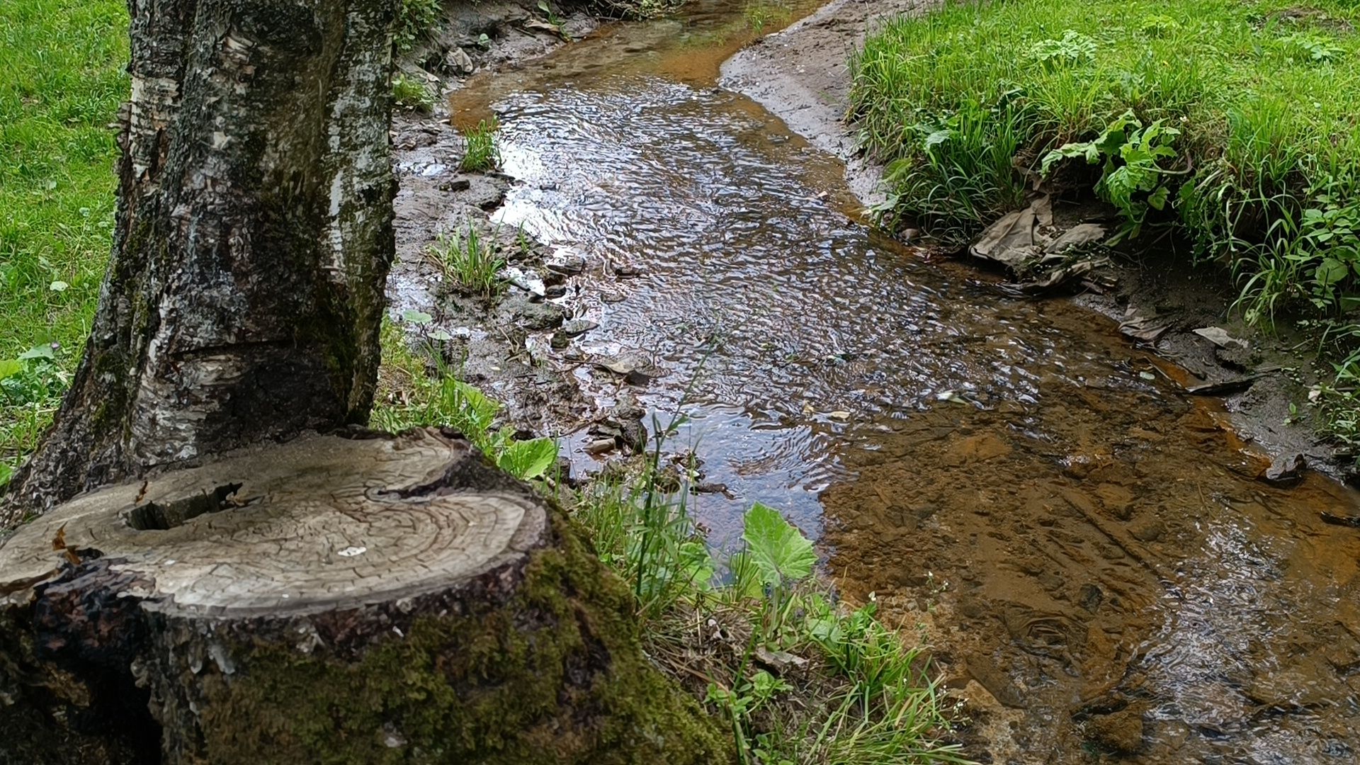 река, экология, лобня,