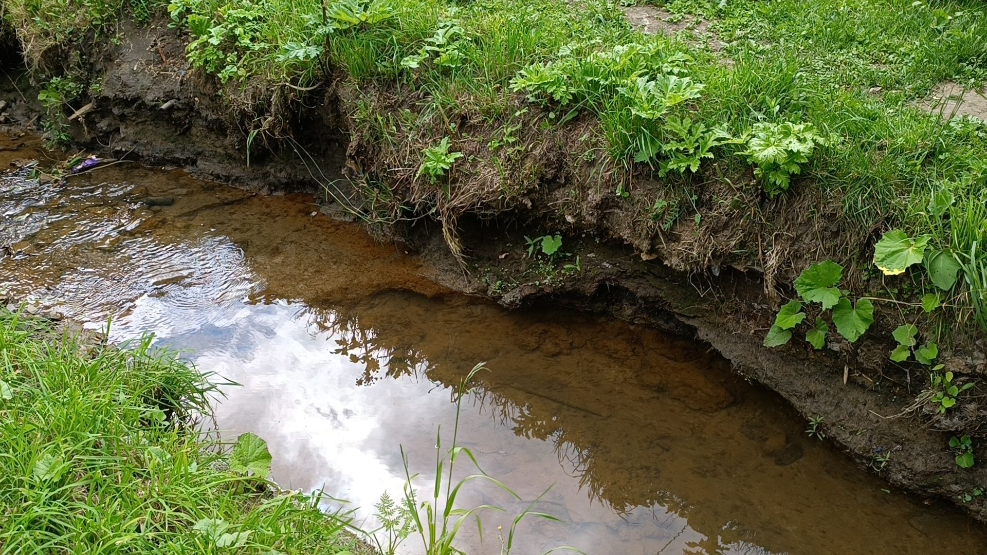 река, экология, лобня,