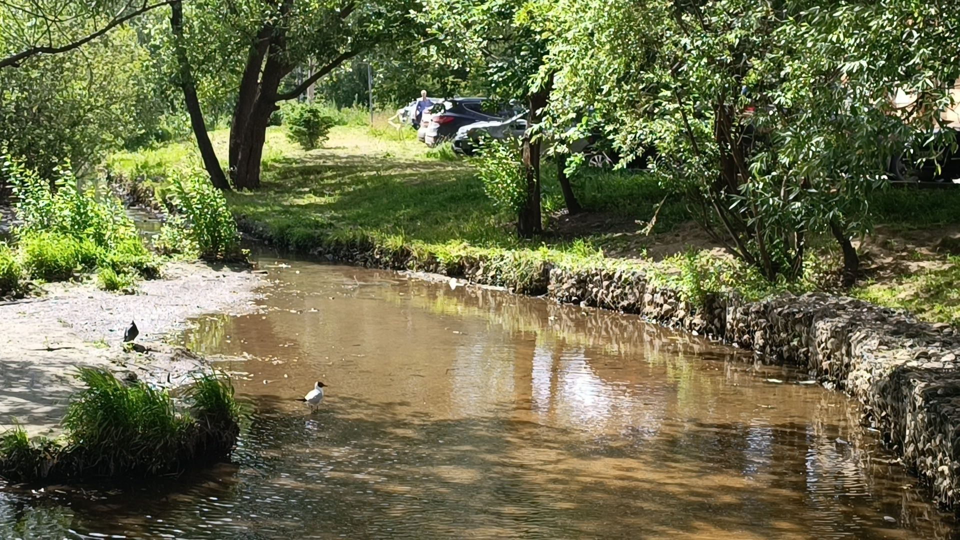 река, экология, лобня,