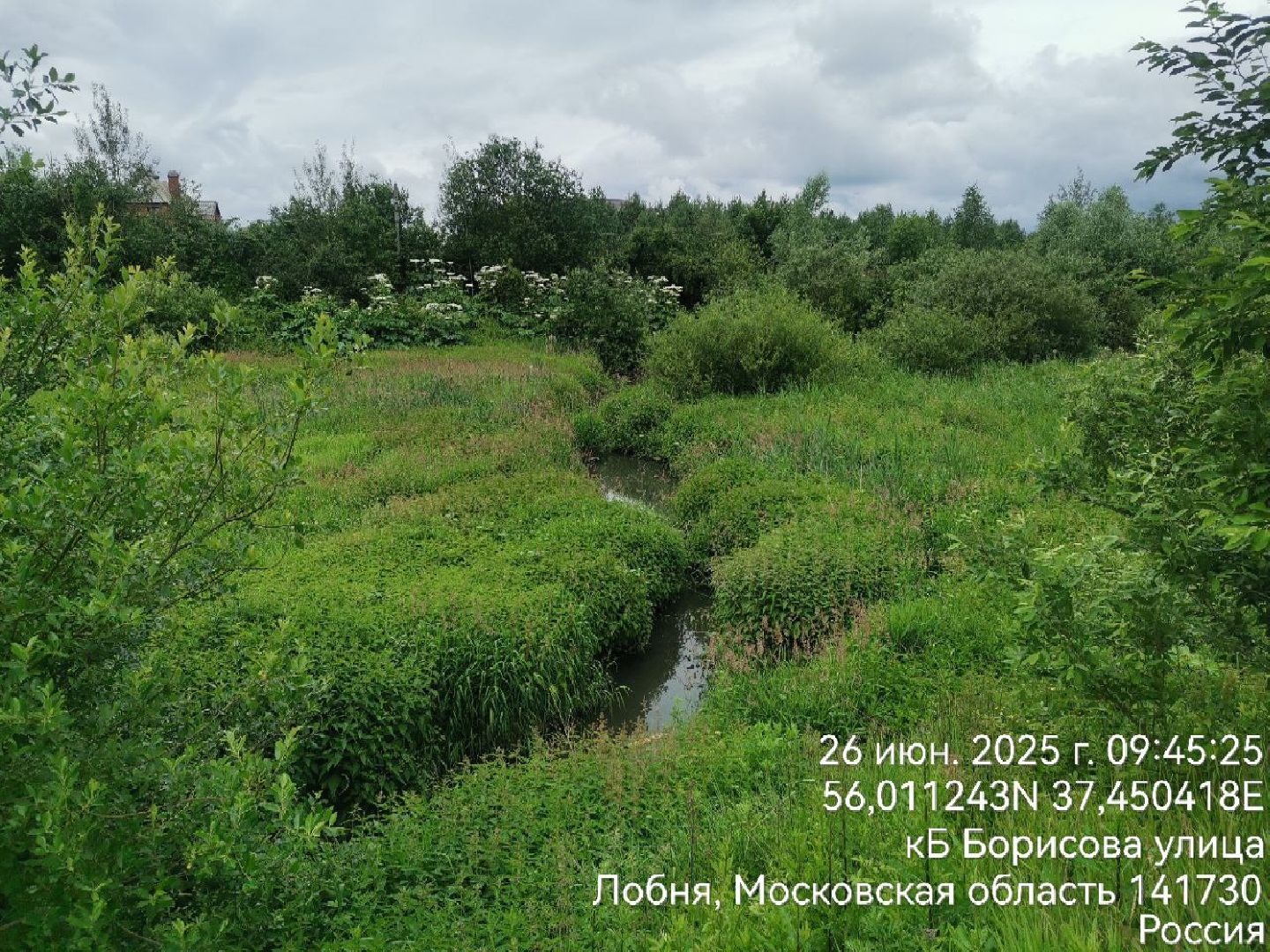 река, экология, лобня,