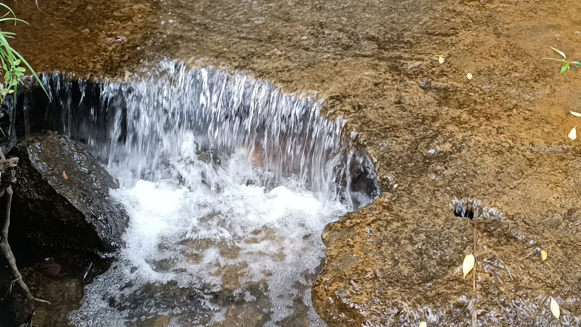 река, экология, лобня,