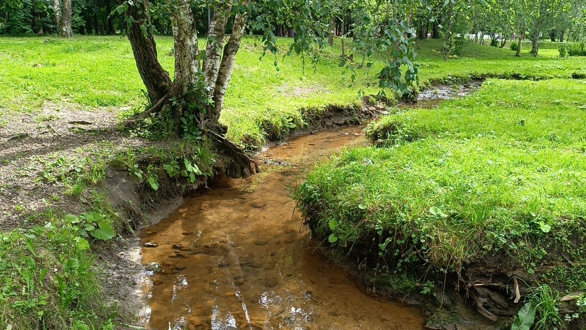 река, экология, лобня,