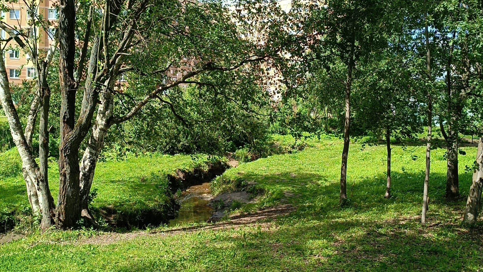 река, экология, лобня,