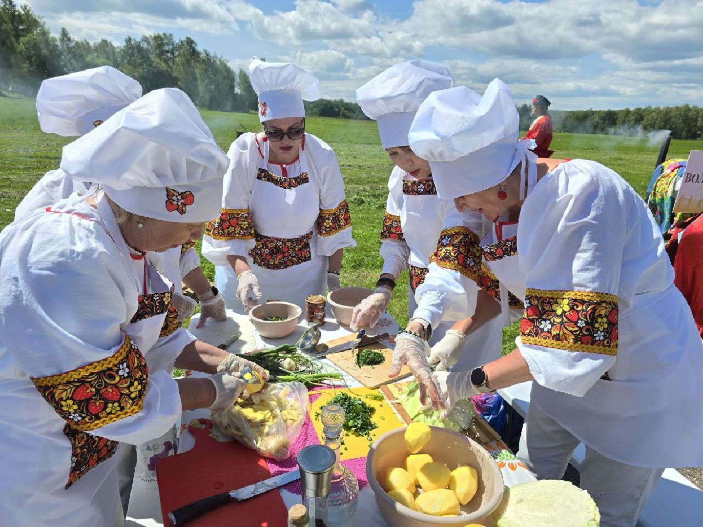 можайск, можайский муниципальный округ, подмосковье, фестиваль, Щи из топора на полях Бородина, активное долголетие , бородино, музей-заповедник бородинское поле, губернаторская программа,