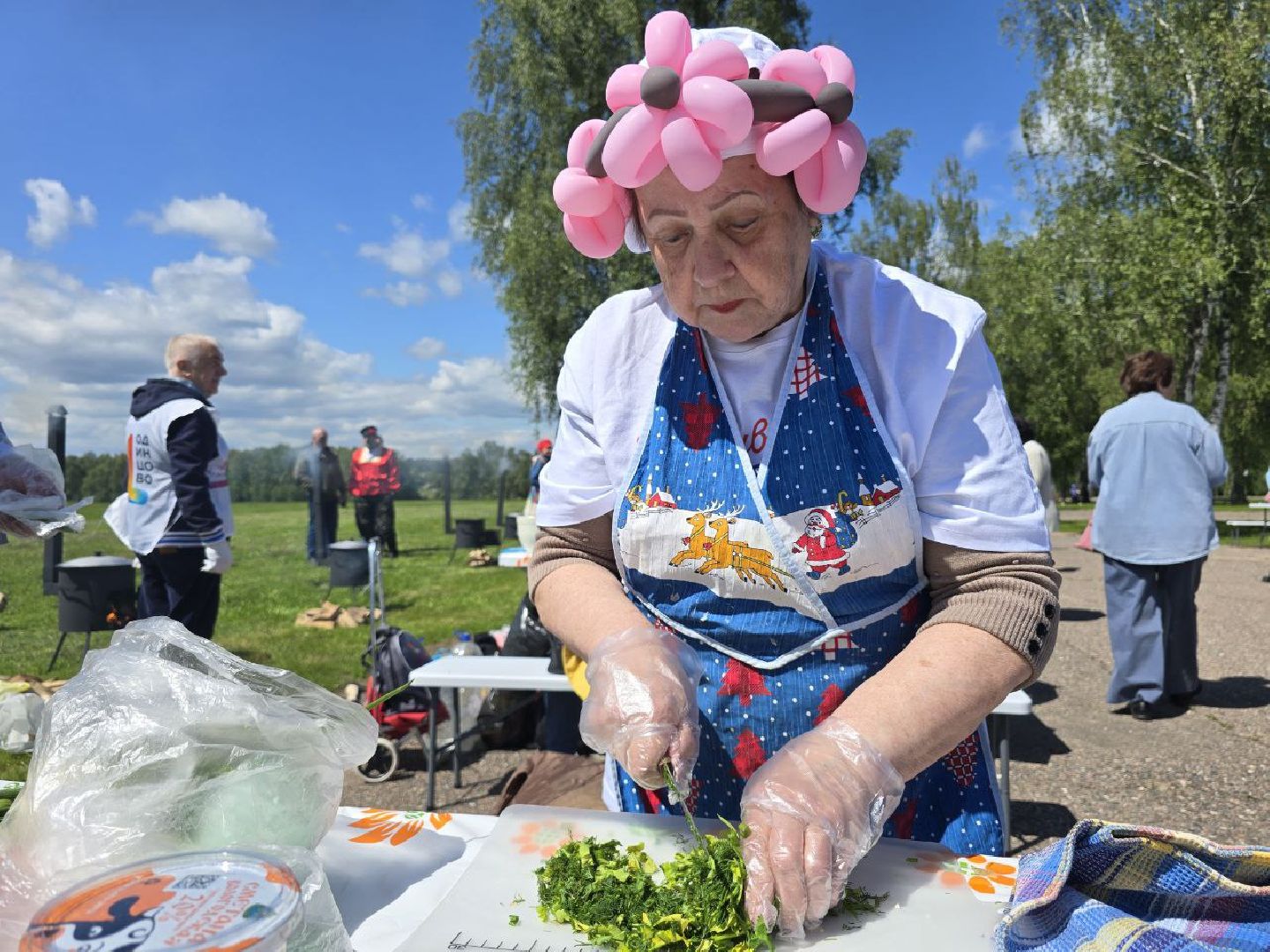 можайск, можайский муниципальный округ, подмосковье, фестиваль, Щи из топора на полях Бородина, активное долголетие , бородино, музей-заповедник бородинское поле, губернаторская программа,