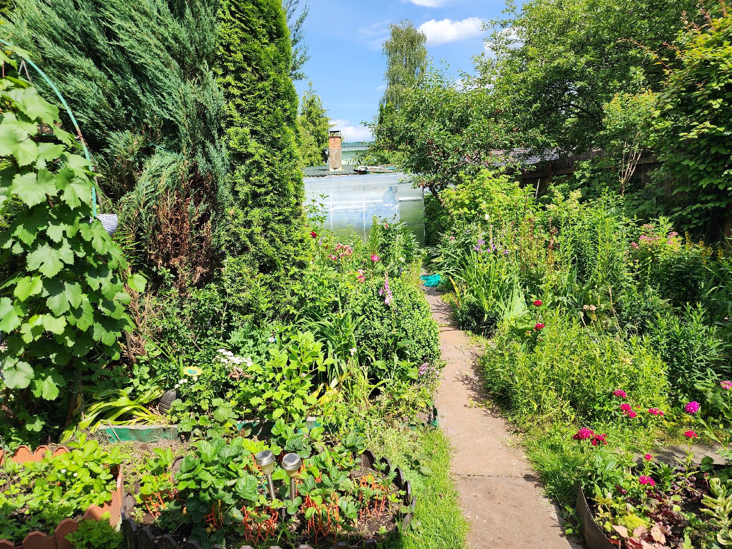 садоводство, экзотические растения, цветоводство, старая купавна, богородский городской округ,