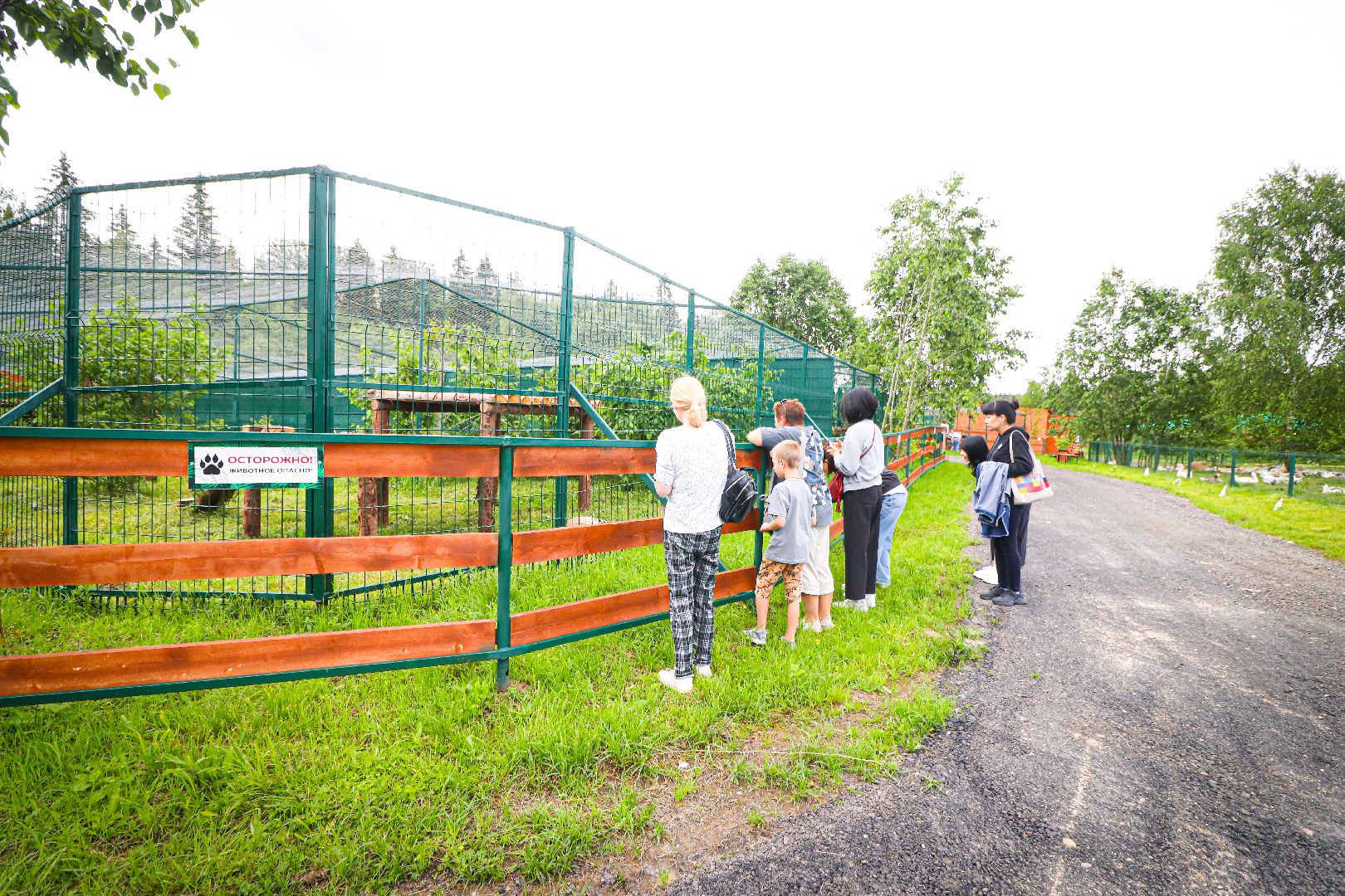 клин, общество, животные,