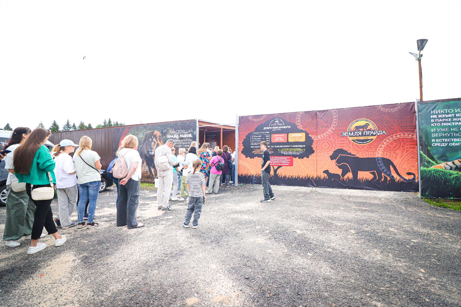 клин, общество, животные,