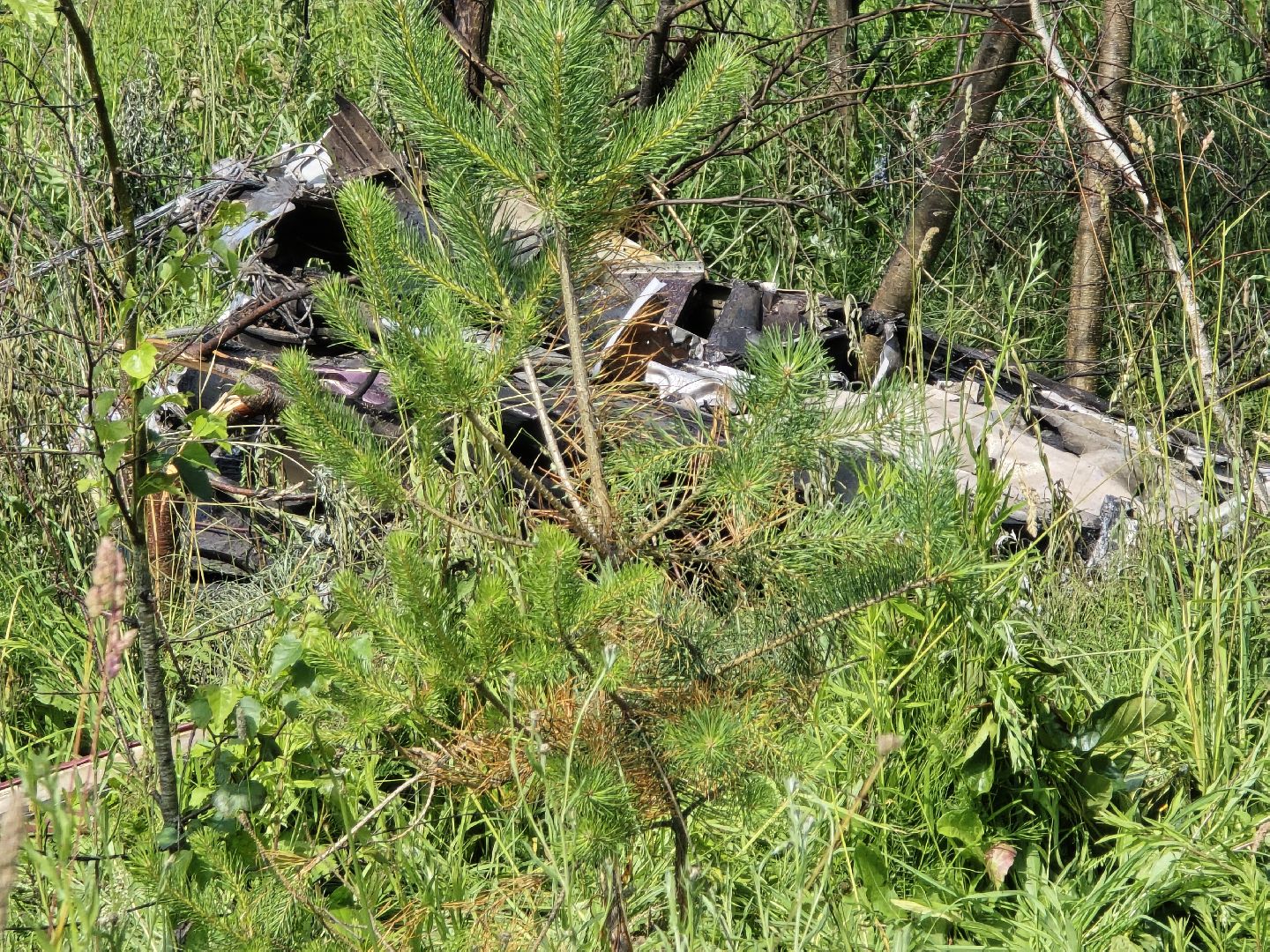 Коломна, чп, крушение самолета,