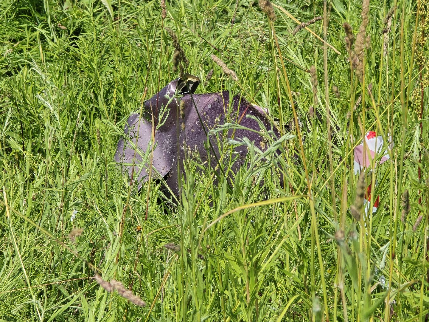 Коломна, чп, крушение самолета,