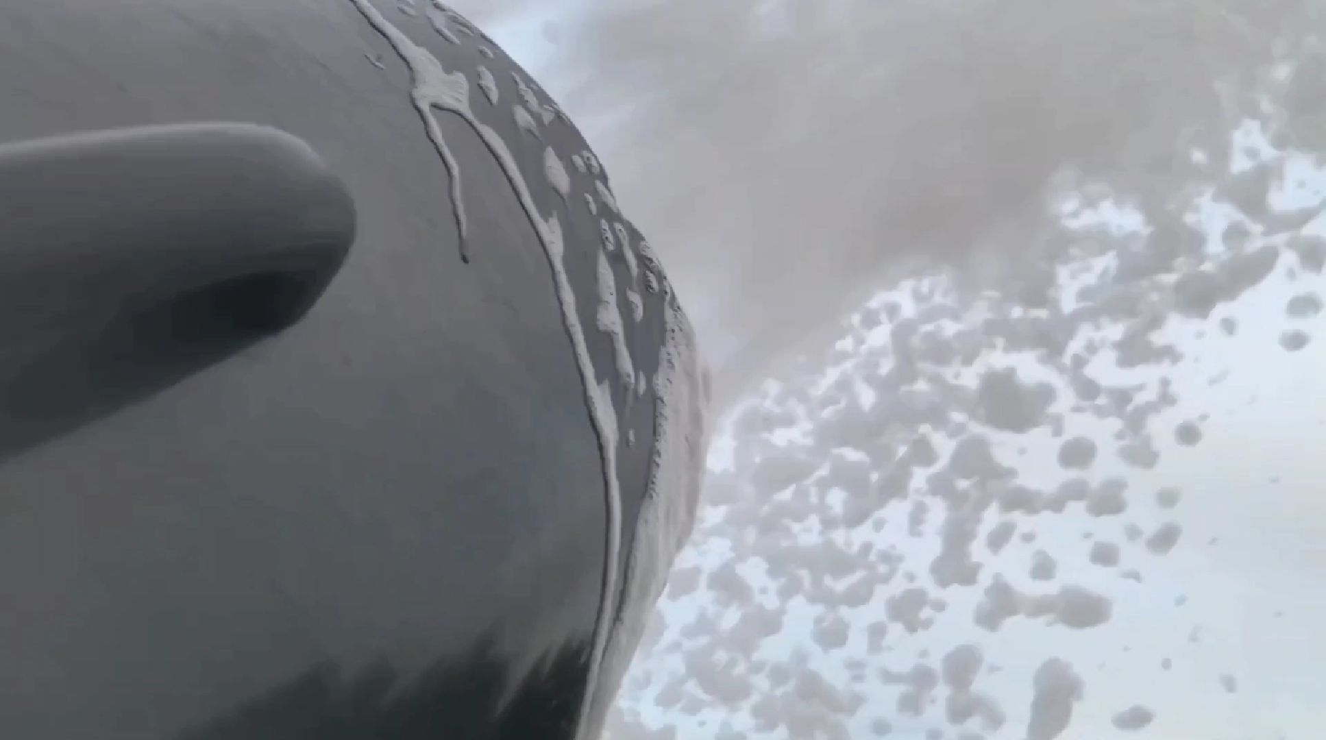 долгопрудный, день молодежи 2025, квиз, пенная вечеринка, дискотека, награждение, кмц,