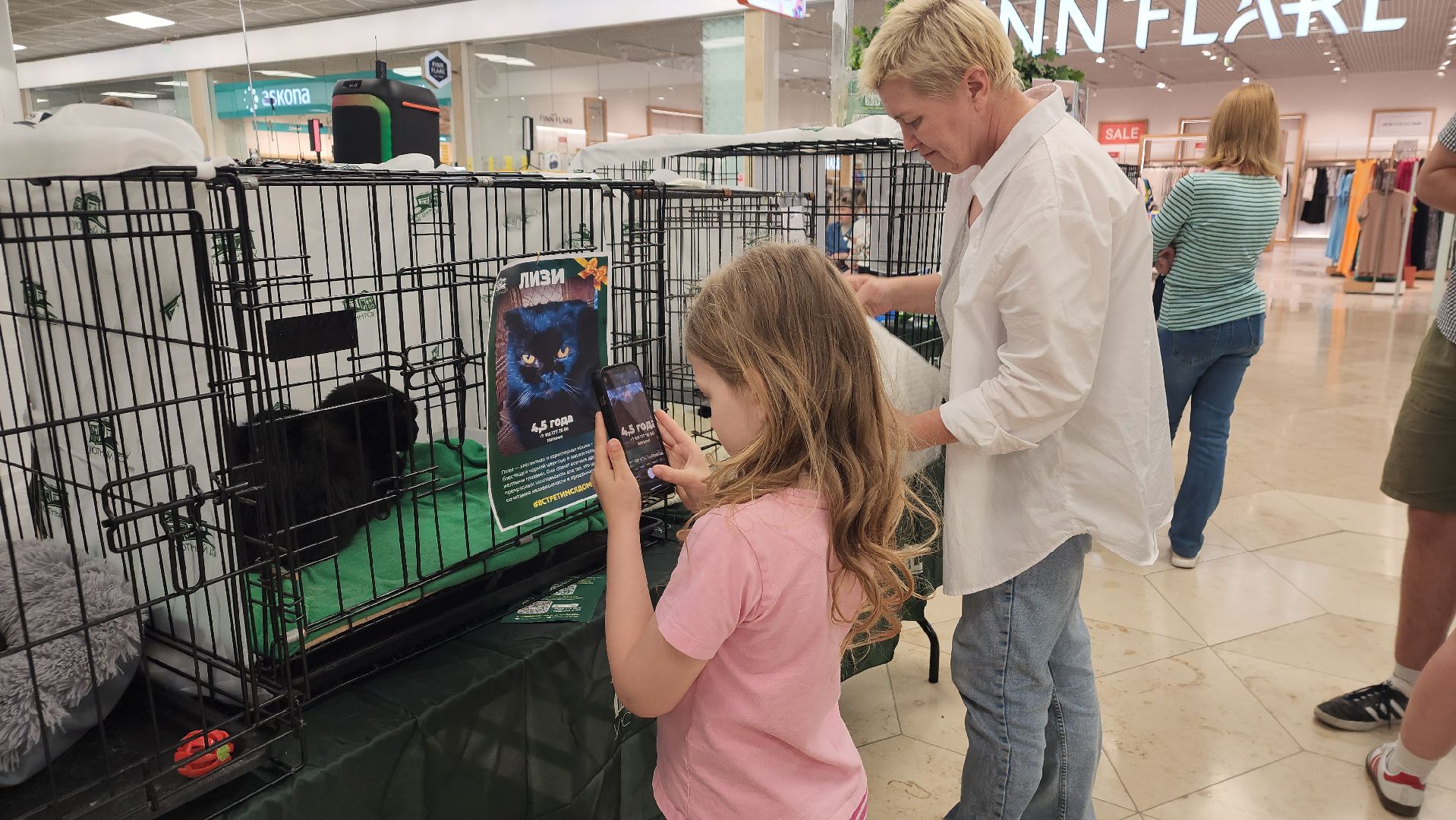 вертикалки, пушкино, волонтеры, благотворительность, бездомные животные, собаки, кошки, поиск, хозяин и хозяйка,