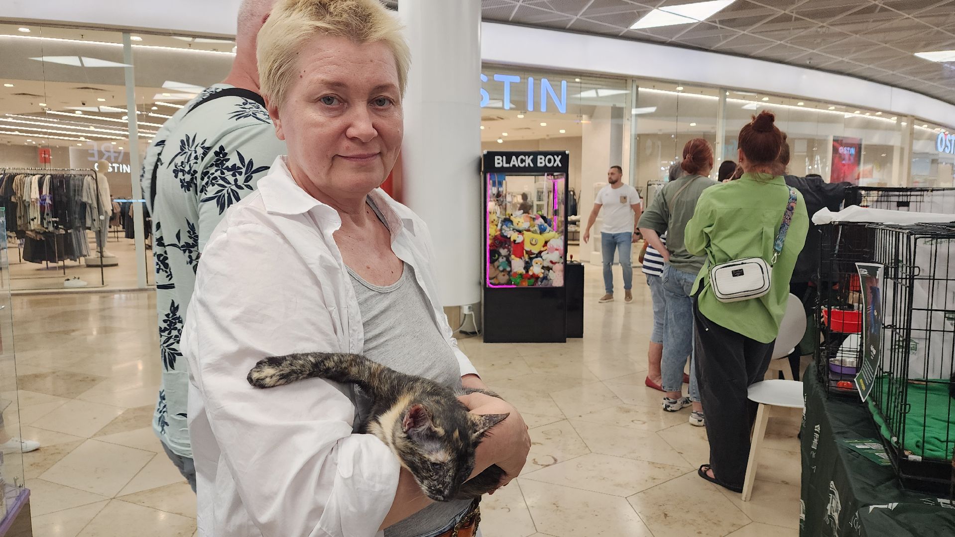 вертикалки, пушкино, волонтеры, благотворительность, бездомные животные, собаки, кошки, поиск, хозяин и хозяйка,