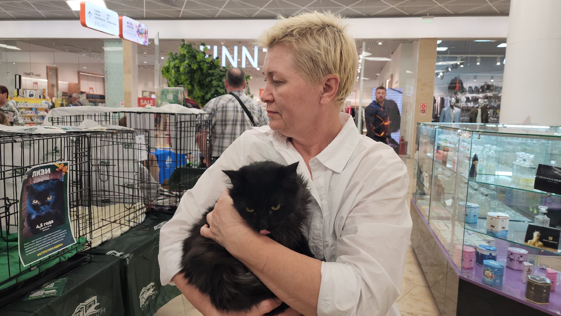 вертикалки, пушкино, волонтеры, благотворительность, бездомные животные, собаки, кошки, поиск, хозяин и хозяйка,