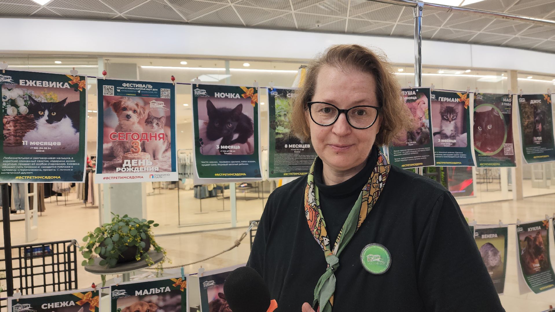 вертикалки, пушкино, волонтеры, благотворительность, бездомные животные, собаки, кошки, поиск, хозяин и хозяйка,