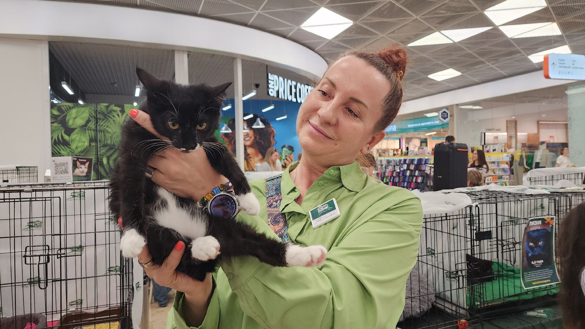 вертикалки, пушкино, волонтеры, благотворительность, бездомные животные, собаки, кошки, поиск, хозяин и хозяйка,