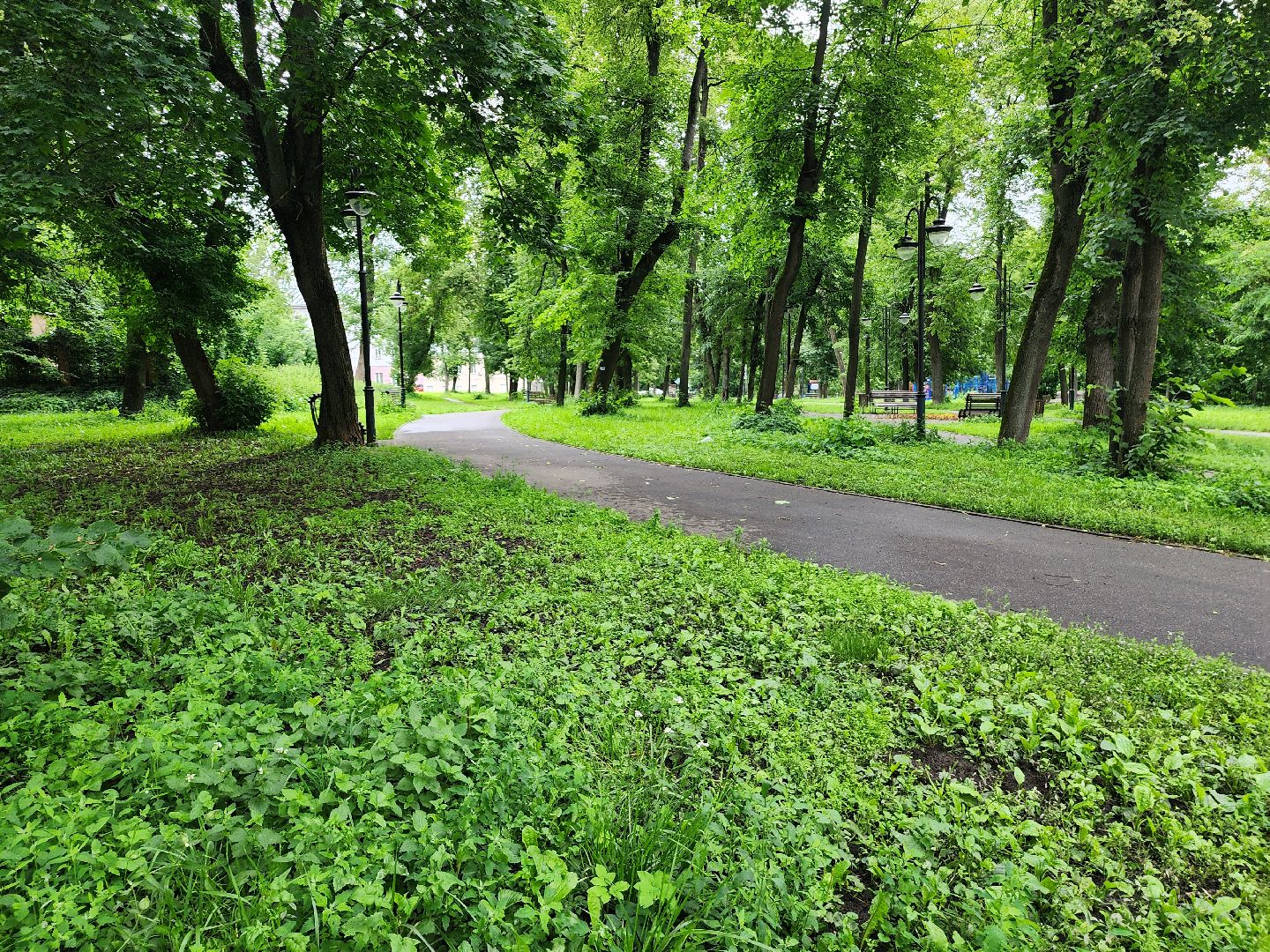 серпухов, выездная администрация, сквер имени володарского, благоустройство, школа 13,
