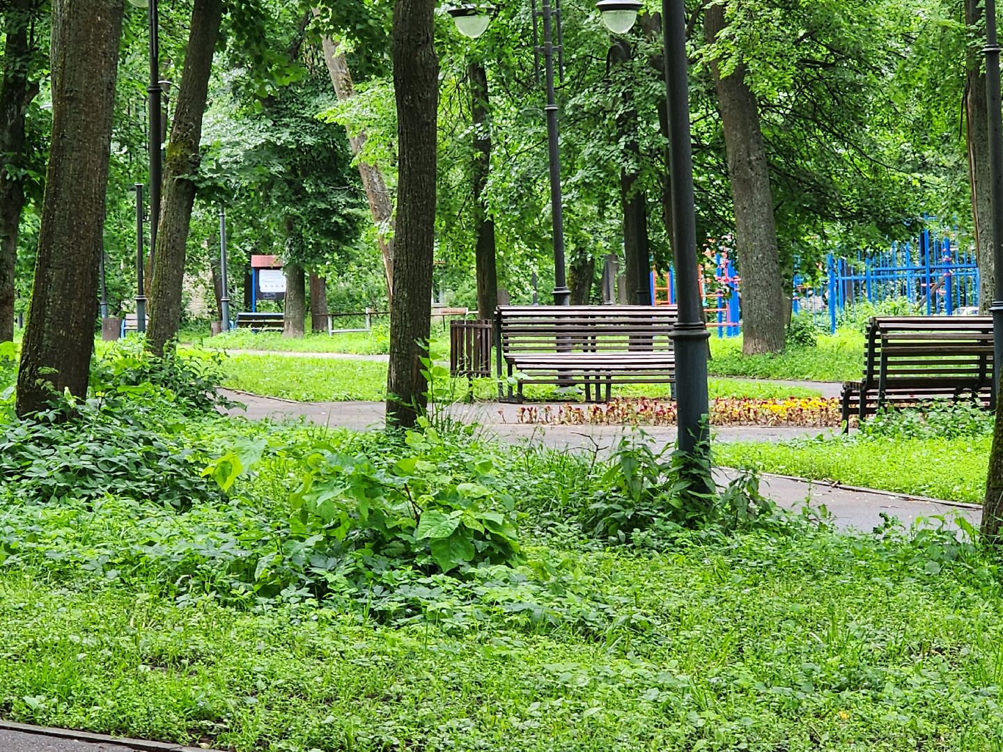 серпухов, выездная администрация, сквер имени володарского, благоустройство, школа 13,