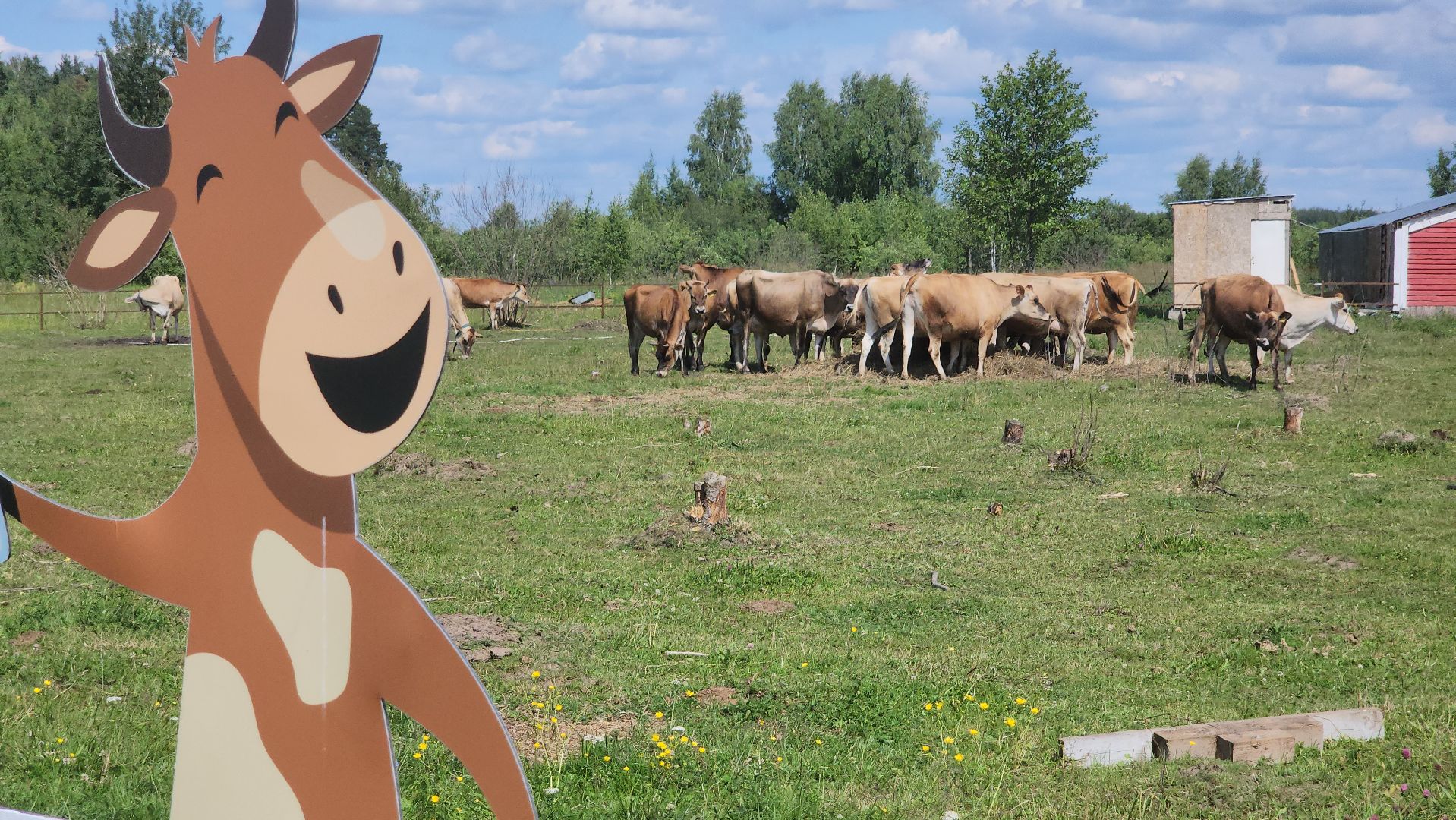 фестиваль семейных традиций, сельское хозяйство, орехово-зуевский округ,семейная ферма,