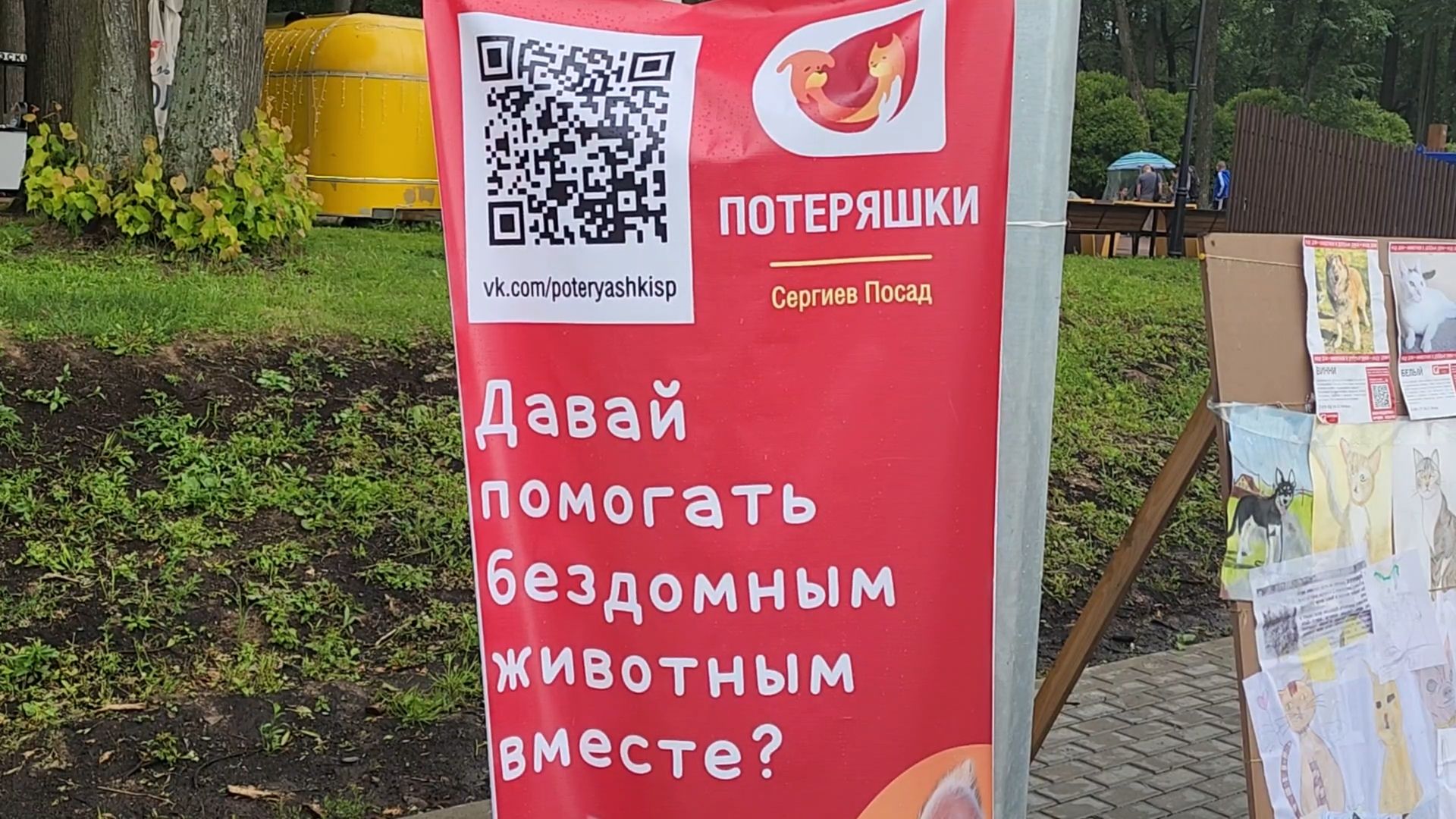 сергиев посад, сергиево-посадский городской округ, потеряшки сергиев посад, бездомные животные, благотворительный фестиваль,