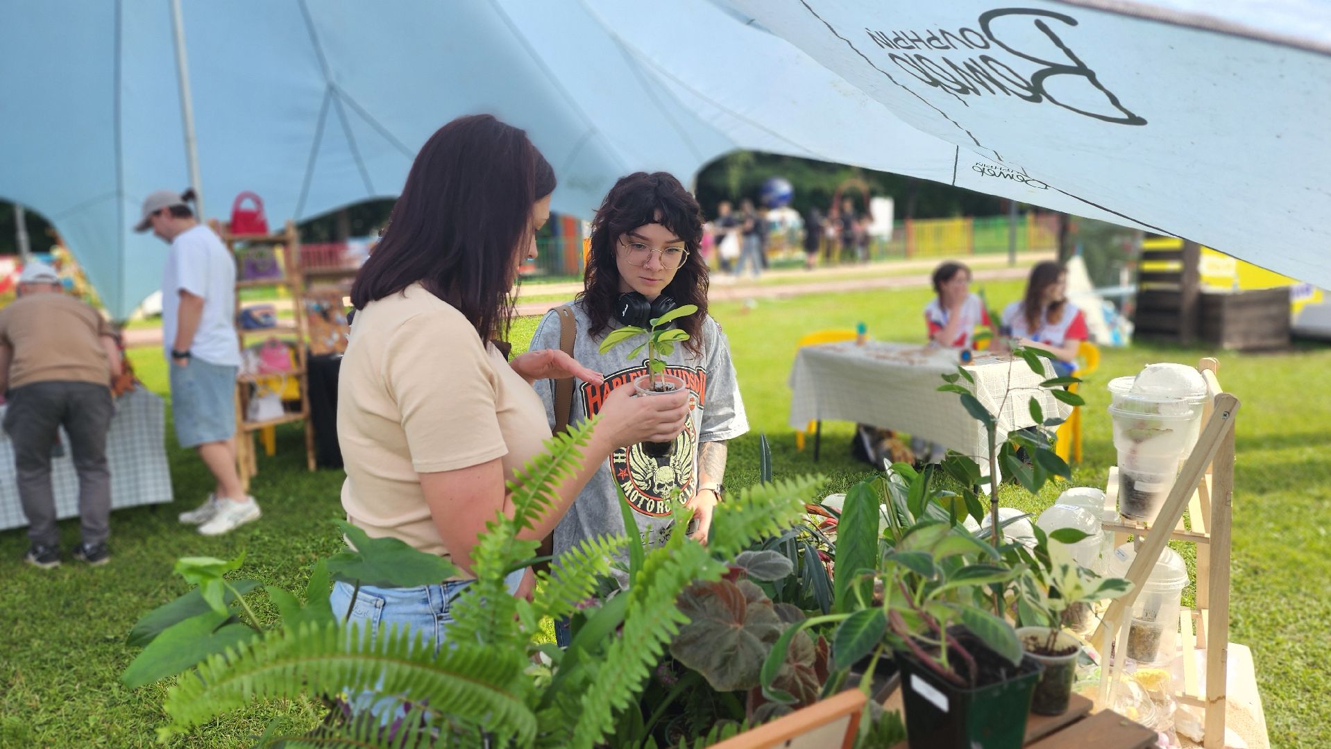 солнечногорск, день молодежи, зеленый своп, обмен растениями,