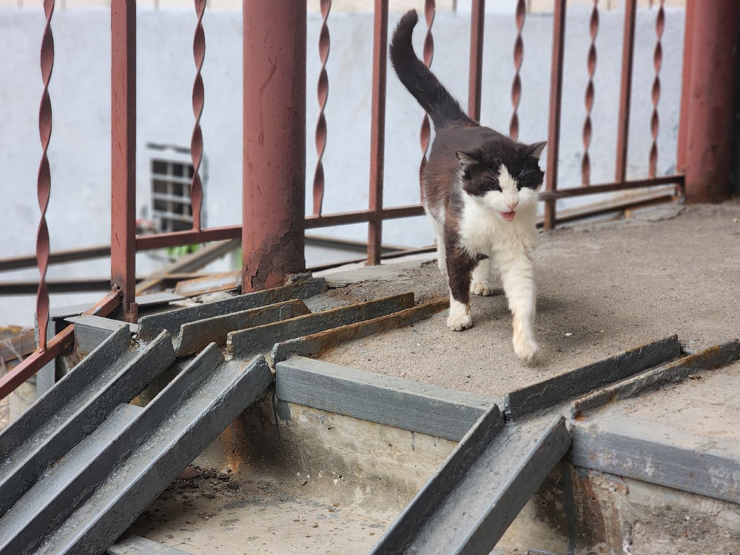 королёв, выездная администрация , дк текстильщик,