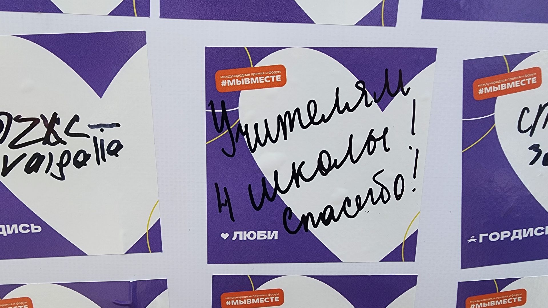 солнечногорск, день молодежи, стена благодарности, волонтеры,