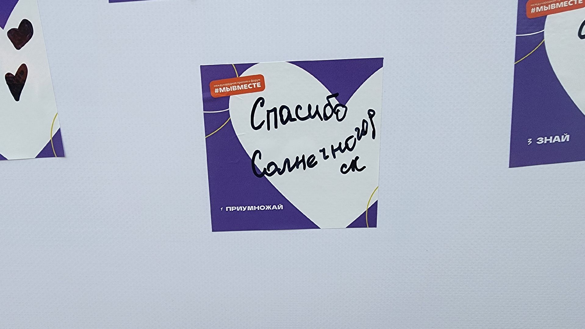 солнечногорск, день молодежи, стена благодарности, волонтеры,