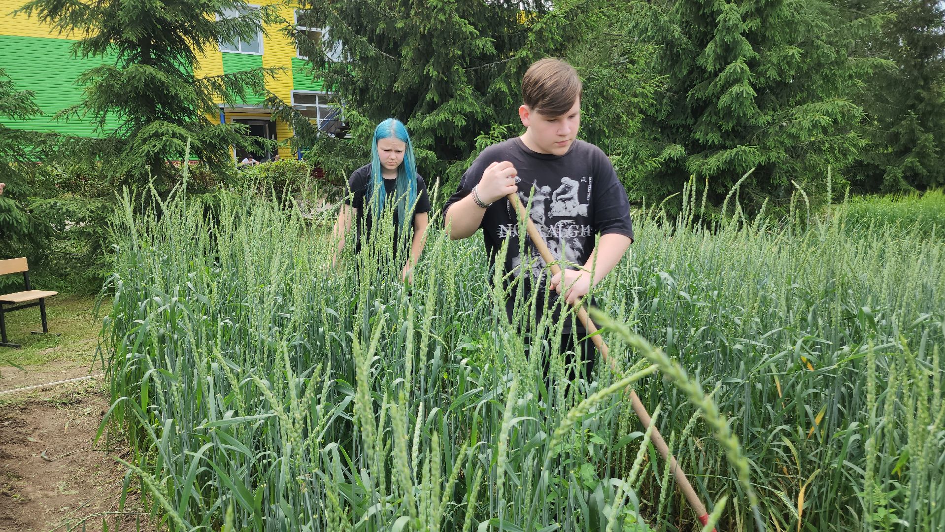 ступино, образование, сельское хозяйство,