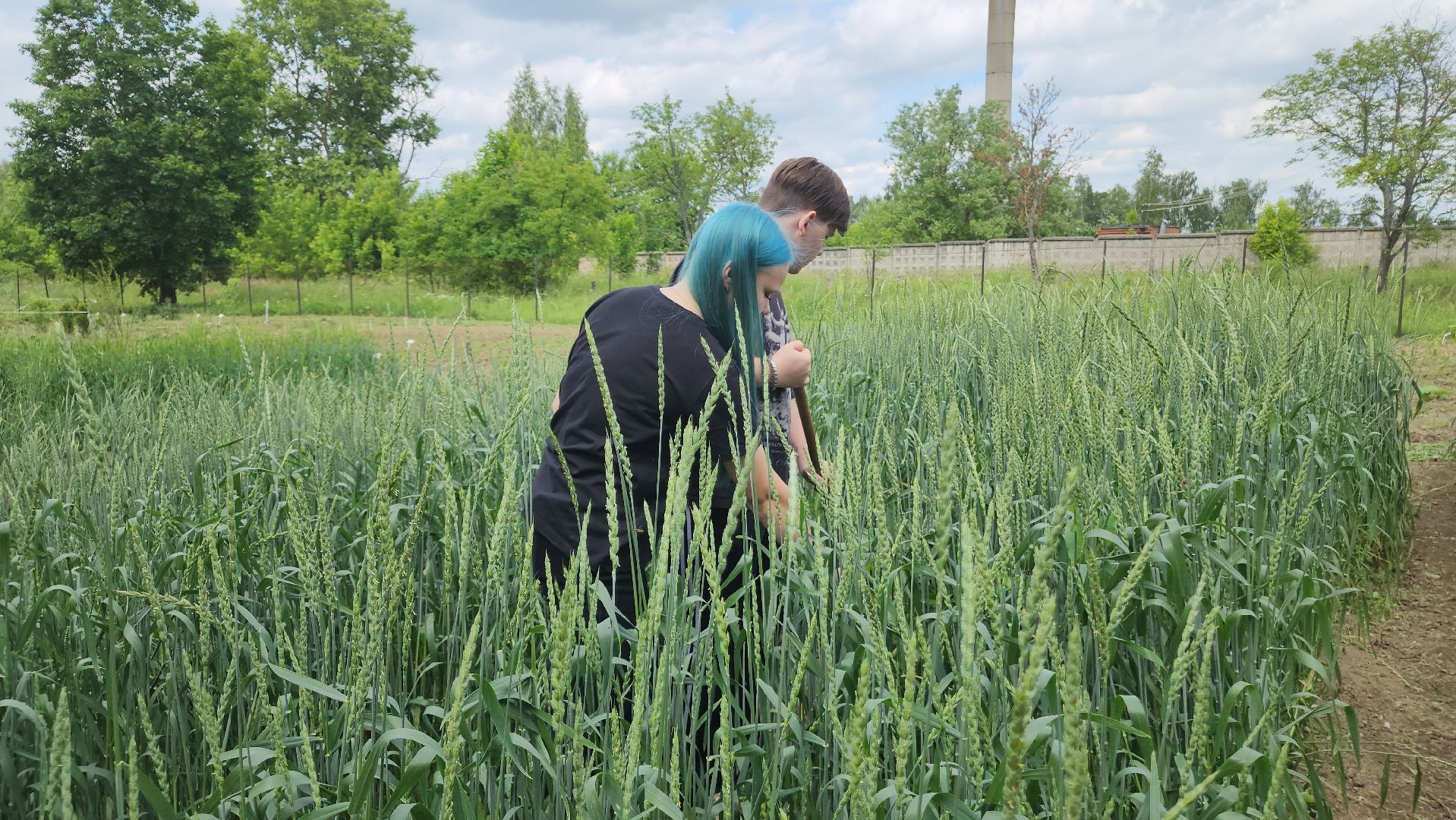 ступино, образование, сельское хозяйство,