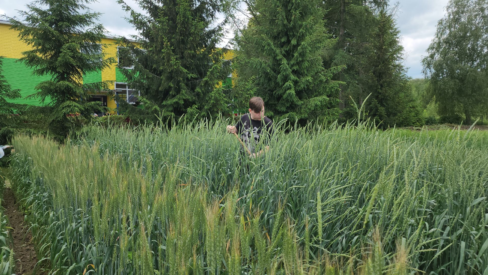 ступино, образование, сельское хозяйство,