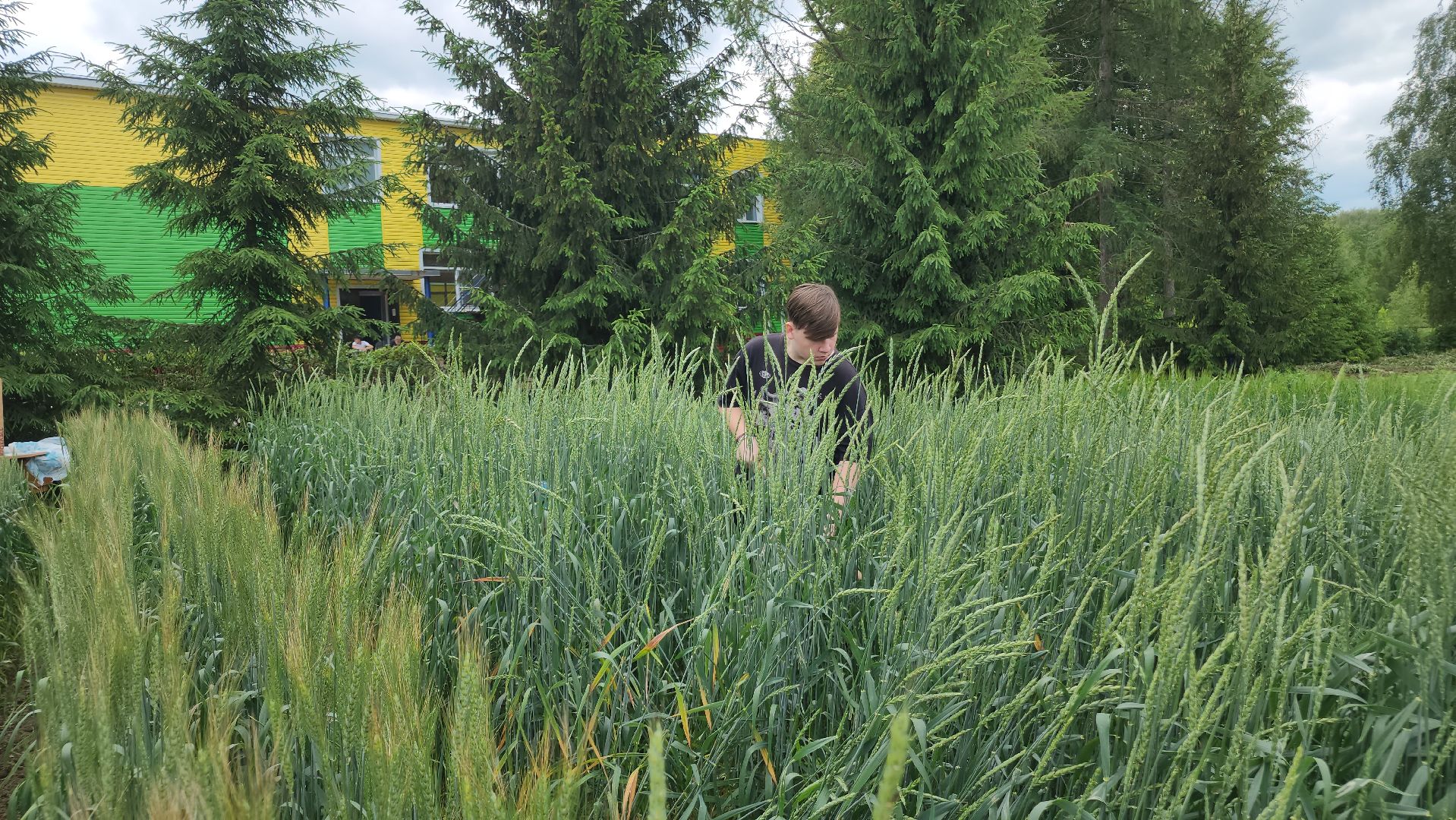 ступино, образование, сельское хозяйство,