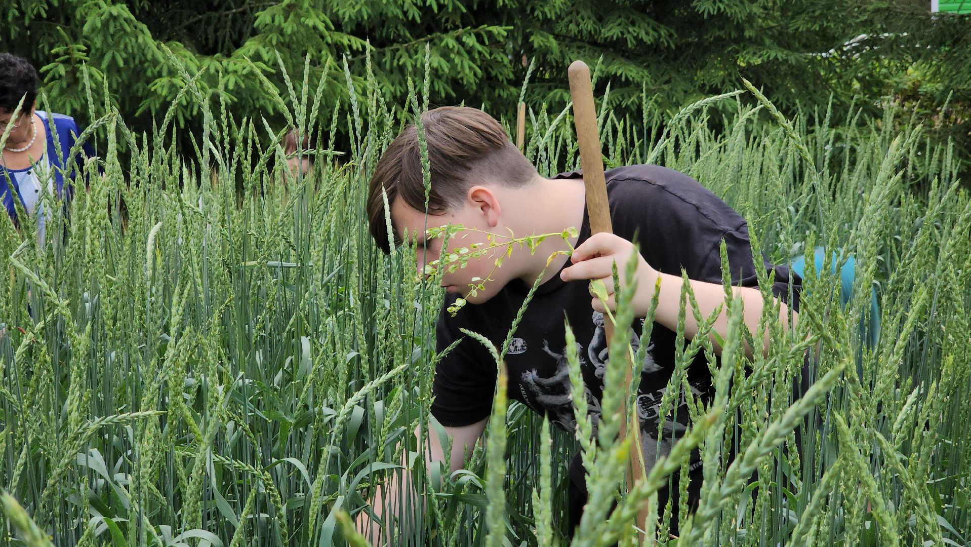 ступино, образование, сельское хозяйство,