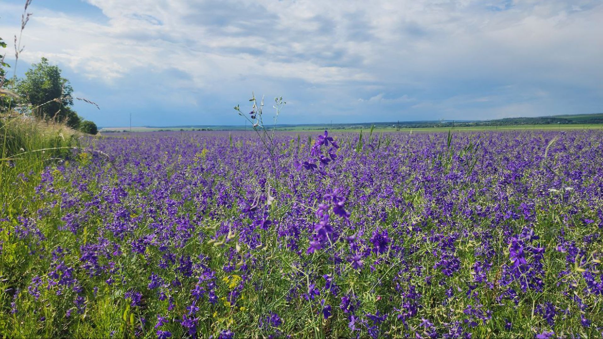 серебряные пруды, благодать, дудино,  локация для фотосессии,
