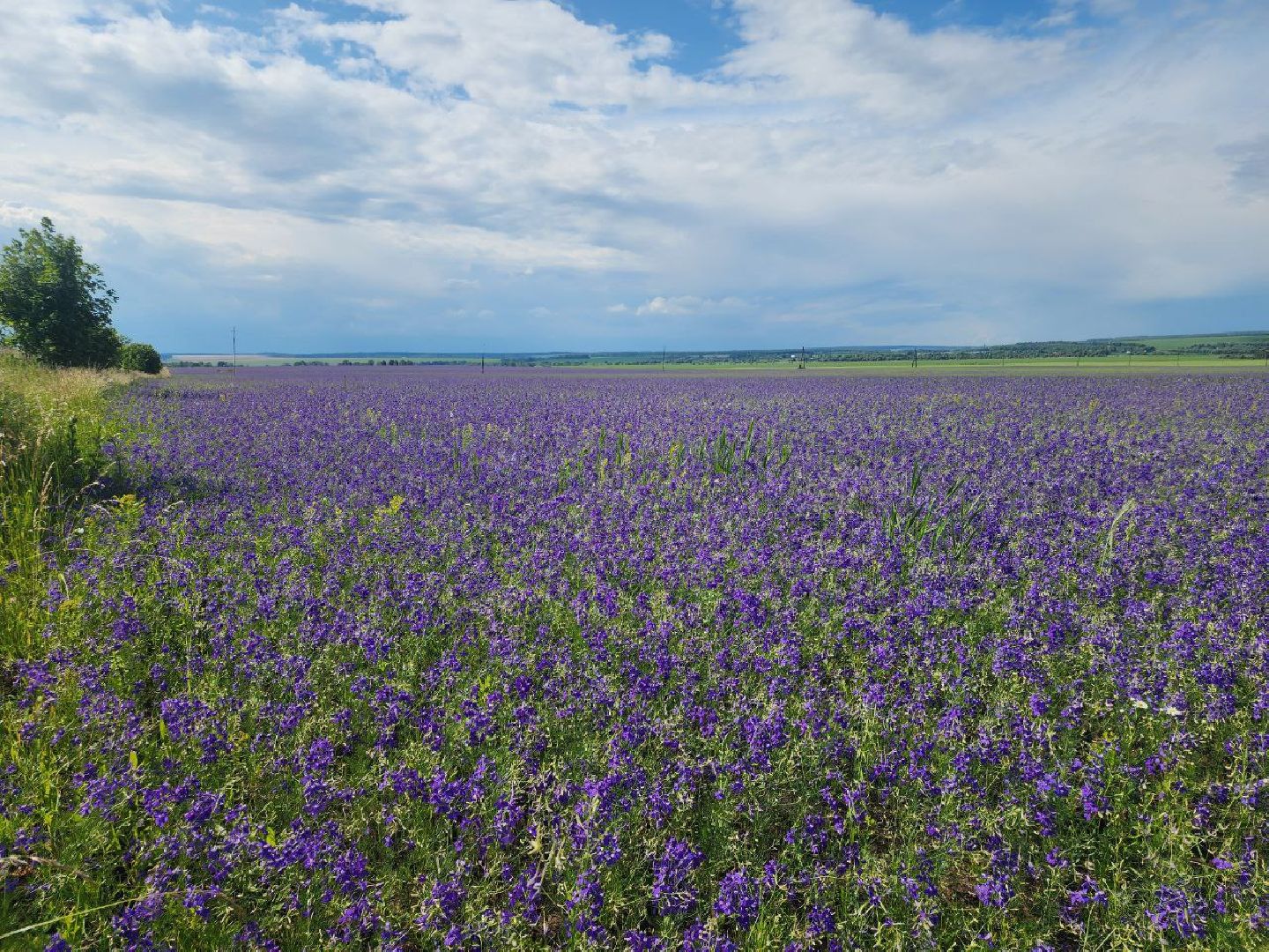 серебряные пруды, благодать, дудино,  локация для фотосессии,